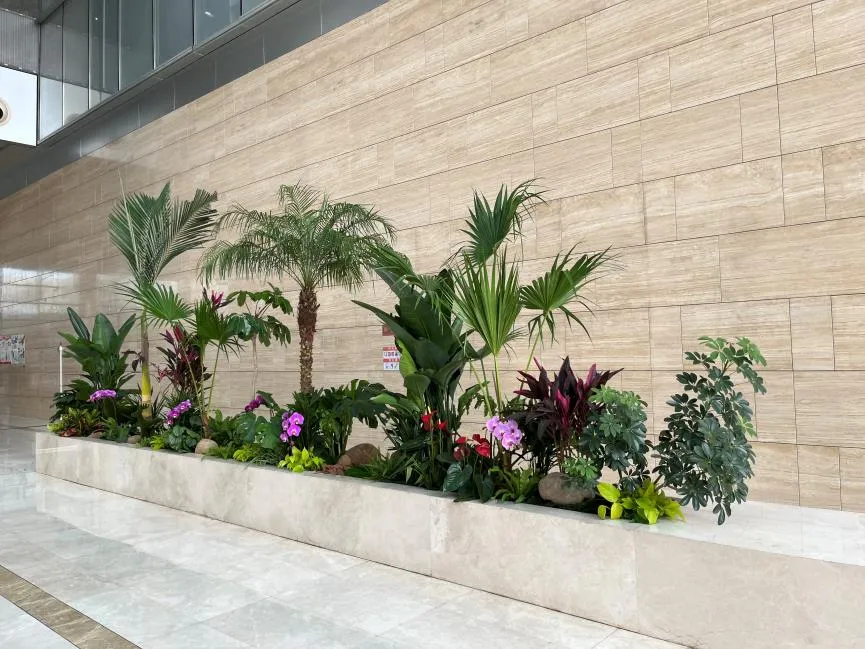 解锁奉化植物租摆设计，打造迷人绿色天地